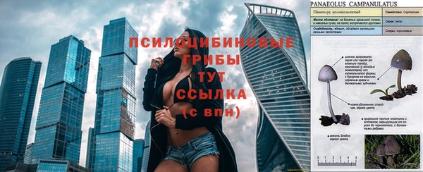 spice Корсаков