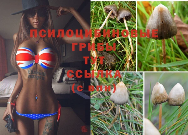 jwh Тобольск