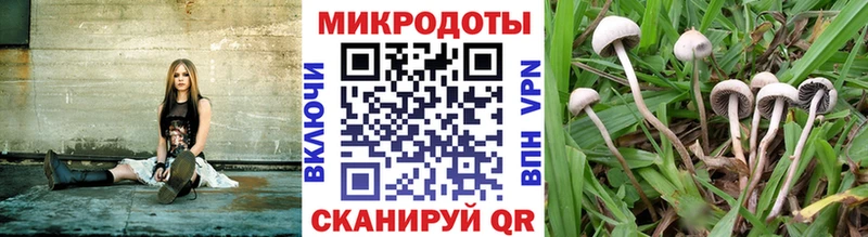 Галлюциногенные грибы ЛСД  Купить где  Буй 